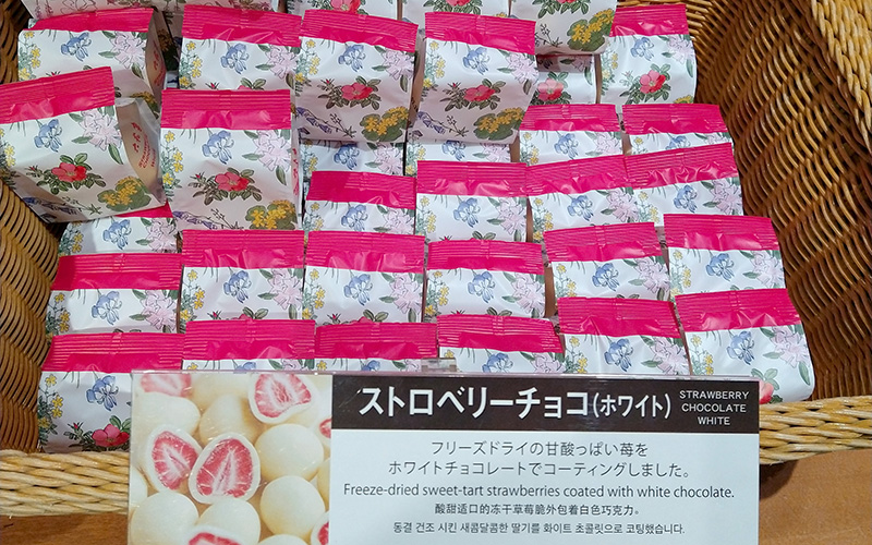 Otaru must eat - Rokkatei freeze dried strawberries