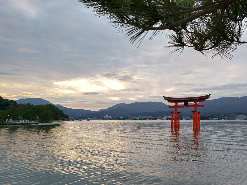 The Grand Torii Gate