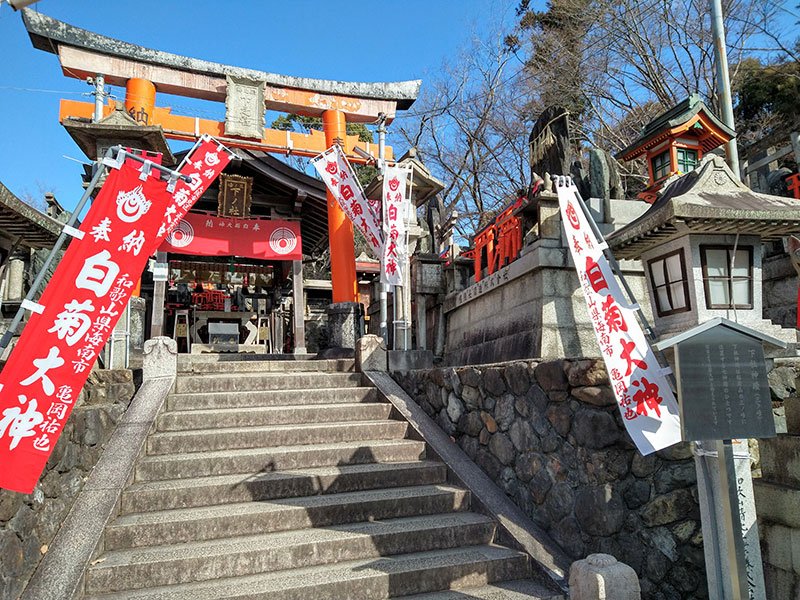 fushimi inari top